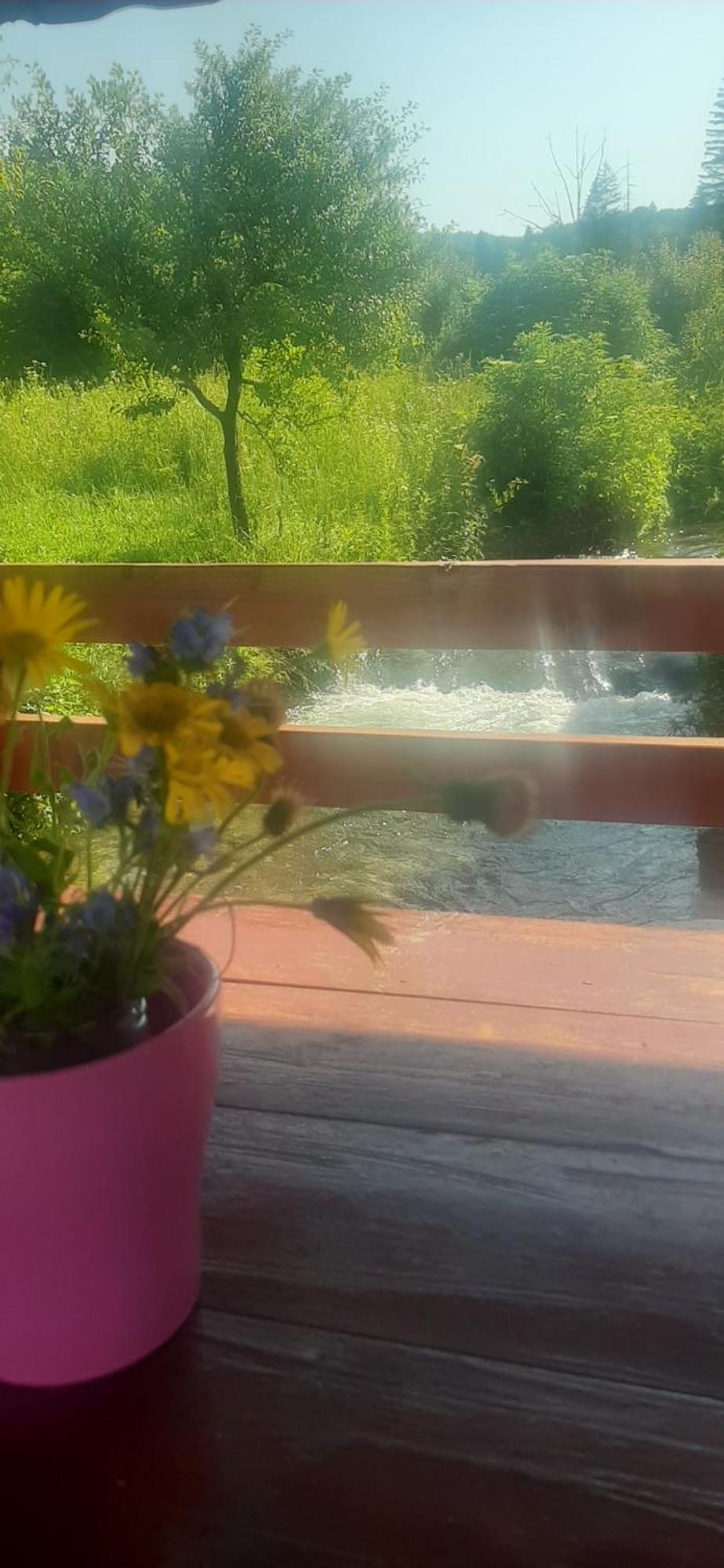 Guest House Mila Plitvicki Ljeskovac Kültér fotó