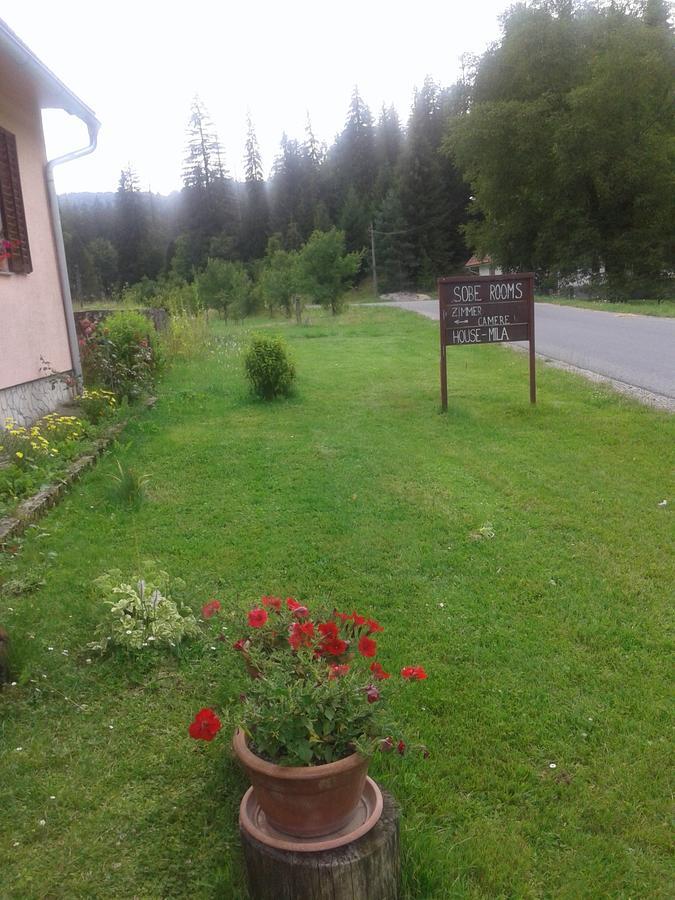 Guest House Mila Plitvicki Ljeskovac Kültér fotó